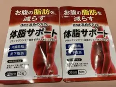 体脂サポート2個セット2ヶ月分 お腹の脂肪を減らす BMI高めの方用