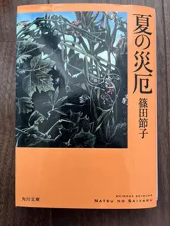 夏の災厄