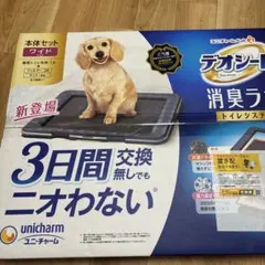 Item thumbnail for item b07415f4-2ebd-4aba-8574-76801be25f54