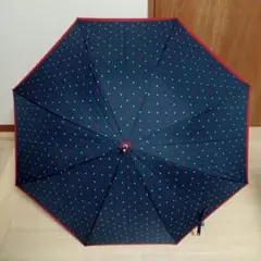 Item thumbnail for item 29f47daa-cdbd-414b-8a05-263f156b297f