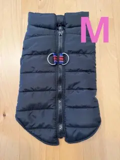 Item thumbnail for item 0c3a295f-efe5-4bfa-894e-08b966e5f2ab