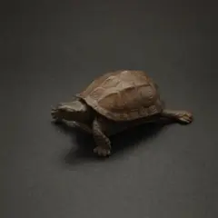 Item thumbnail for item 04549663-81c9-421b-8085-b730b9c79fe2