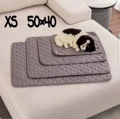 Item thumbnail for item 30857157-a786-4cc9-b9c2-ca0dda9e1fbc