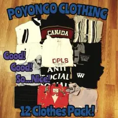 Item thumbnail for item 50e6280a-e77d-4233-a088-bce3036a1f31