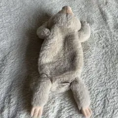 動物筆箱 ナマケモノ
