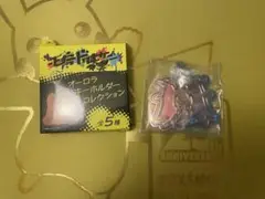 ポケモンセンター モウドクキケン オーロラキーホルダーコレクション ヒドヒデ