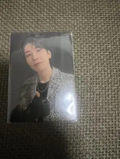 SEVENTEEN WONWOO カラモバトレカ
