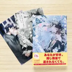 コミコミ特典★ロマンチックバージョン　安西リカ bl小説 新刊
