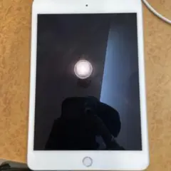 Apple iPad mini 5 シルバー　＊注意事項あり。