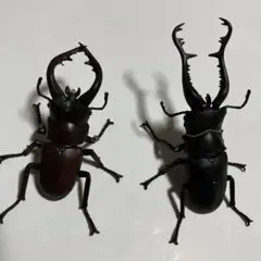 クワガタ　フィギュア　2個セット