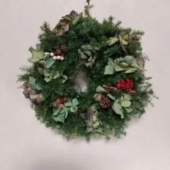 Item thumbnail for item 1d341f02-d483-4965-9133-161ec4d9cef7