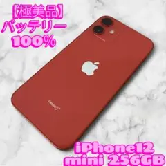 【極美品】iPhone12 mini 256GB（バッテリー100％）