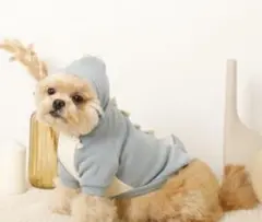 Item thumbnail for item ea79f75d-a0c4-40ee-b78f-d9812e4f8882