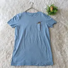 ANERICAN EAGLE アメリカンイーグル　Tシャツ　S　ハワイ刺繍