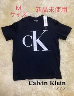 ★新品★カルバンクライン　ブラックTシャツ Mサイズ メンズTシャツ