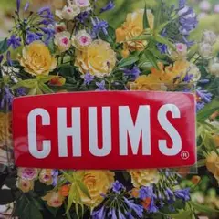 大人気★国内正規品★CHUMS★チャムス ロゴ ステッカー
