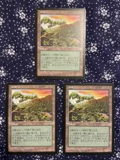 2025年最新】知られざる楽園 mtgの人気アイテム - メルカリ