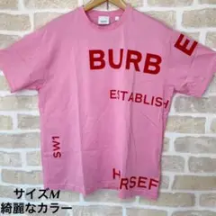 綺麗なカラー【Burberry サイズM ホースフェリープリント ピンク備品付】
