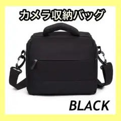 Item thumbnail for item 2ae931bb-9af5-4323-aa3d-a42a64100464