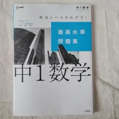 中1数学 最高潮準問題集