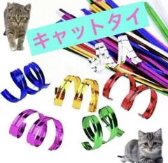 Item thumbnail for item 1d75f672-31d8-4f5b-aee5-325bbfdae214