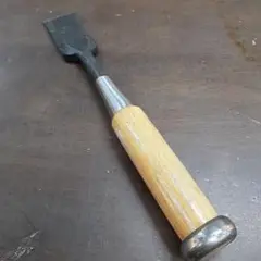 ノミ 30㎜