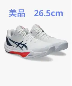 美品バレーボールシューズ SKY ELITE FF 3