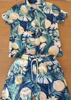 Item thumbnail for item b8c96c86-ed3d-499c-9cf0-fa53b128f0c8