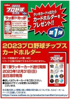 プロ野球チップス 2023 ラッキーカード その他 セット カード食玩「2023プロ野球チップス第1弾」が3月27日発売。Amazon