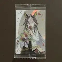 ドリームジャーニー　ウマ娘　ツインウエハース　SpecialＲ2025
