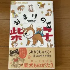 おまけの柴子