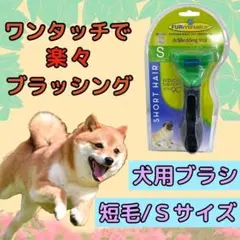 Item thumbnail for item 4af1f606-6cc3-4217-8a7a-a4e304ce7fc7
