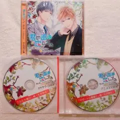 君の声に恋してる