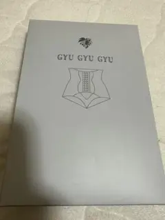 新品未使用　ダイエット　骨盤補正　モンステラ　ギュギュギュ ガードル M 黒色