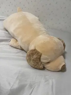 本日限定値下げ！　抱き枕　もちもち　クッション　犬