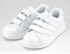 Item thumbnail for item 2ec40b4d-c2cf-4d6e-b9d8-df3222217696