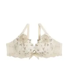 新品タグつき　リサマリ　アイヴィー ブラジャー　 サイズD65