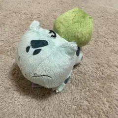 匿名配送　ポケモン　フシギダネ　新品未使用　タグ付き