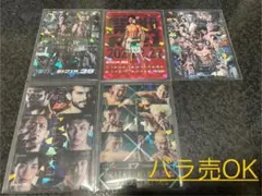 RIZINポテトスティックポスターカードコレクション　セット販売　バラ売りもOK