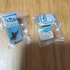 旭山動物園　ピンズDX 2個セット