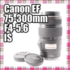 Item thumbnail for item 78ec8515-1c9a-417b-bb11-4c1d1cbb443c