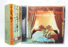 スティーヴ・キューン・トリオ　誘惑　レコード　180g　重量盤　VENUS Temptation: 誘惑 (180グラム重量盤レコード/Venus Hyper Magnum