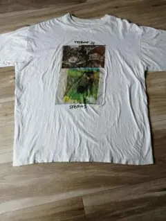 FELISSIMO フェリシモ TRIBUTE21 アート Tシャツ 90s F