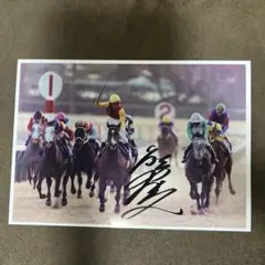 ダイユウサク　1991有馬記念A4写真