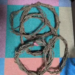 アケビの蔓　手芸に！
