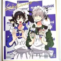 春風のエトランゼ 箔押しサイン色紙 紀伊カンナ 橋本駿 知花実央