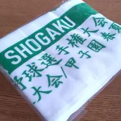 【未使用】2025甲子園 / 沖縄尚学 / 記念タオル