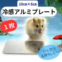 Item thumbnail for item 167ab571-8821-4e42-8b45-08b031fc1415
