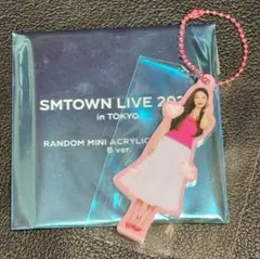 SMTOWN LIVE 2025 ランダムミニアクリルキーホルダー B ジョイ