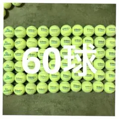 テニスボール 硬式 wilson St.JAMES 中古 60球 練習用